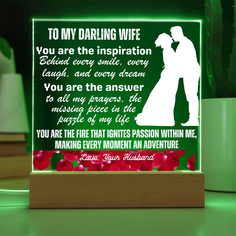 Gift for Wife, Premium Acrylic Keepsake with Built-in LED Lights - You Are The Inspiration